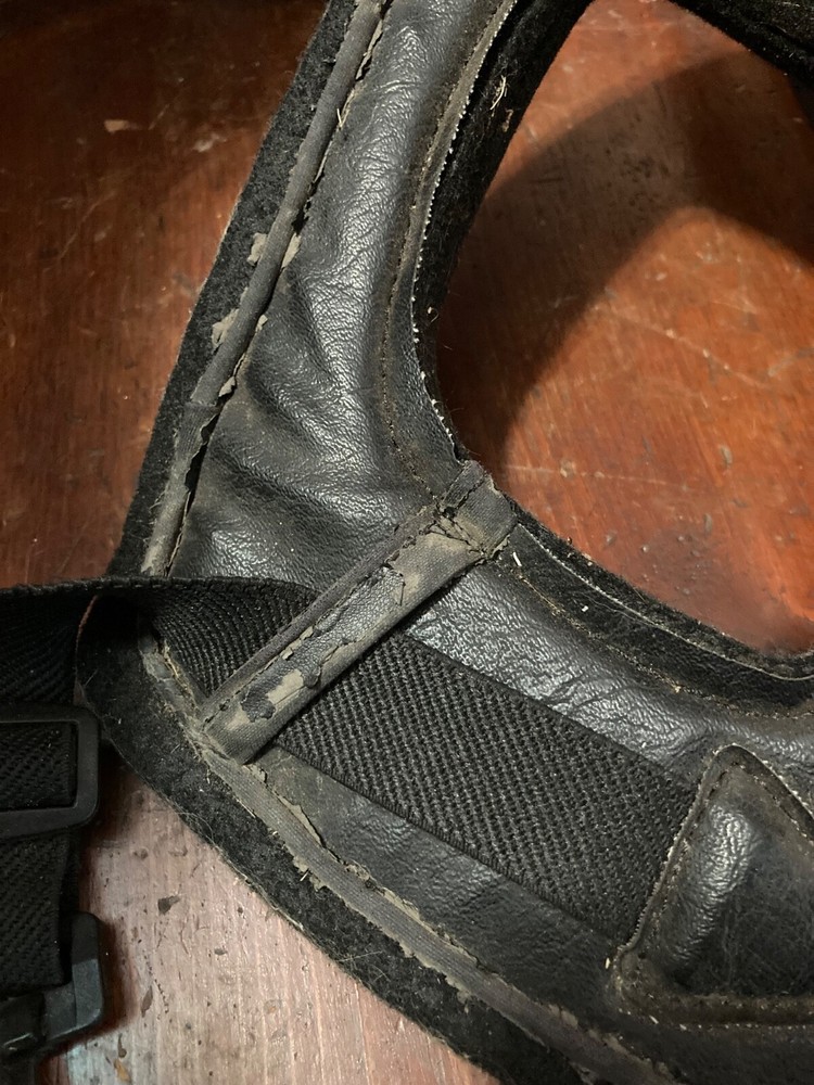 Head Bumper Horse Equine Trailering