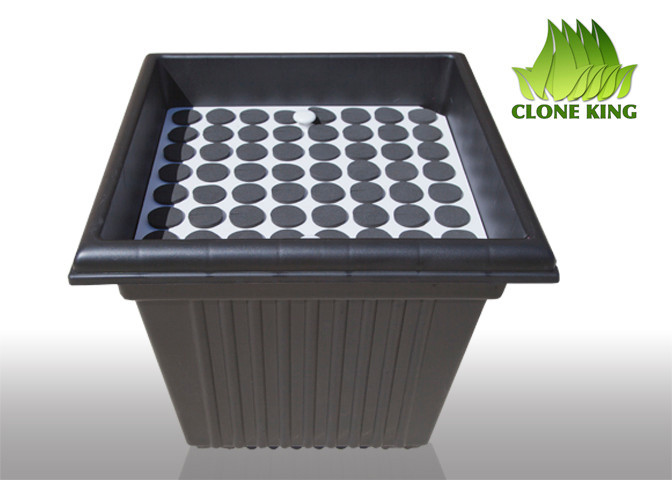 THE CLONE KING 64 SITE AEROPONIC PLANT CLONING MACHINE CLONE CLONER CLONING HYRO