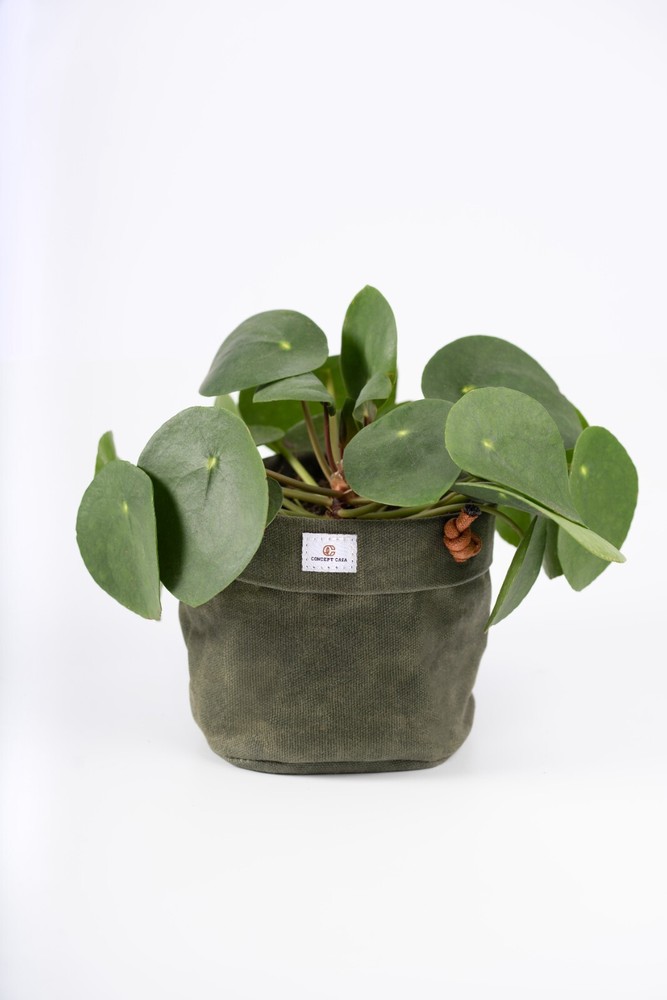Waxed Canvas Handmade Hanging Planter 6" Forest Green