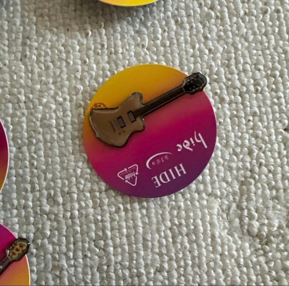 hide☆Pins capsule 10 piece set☆Complete