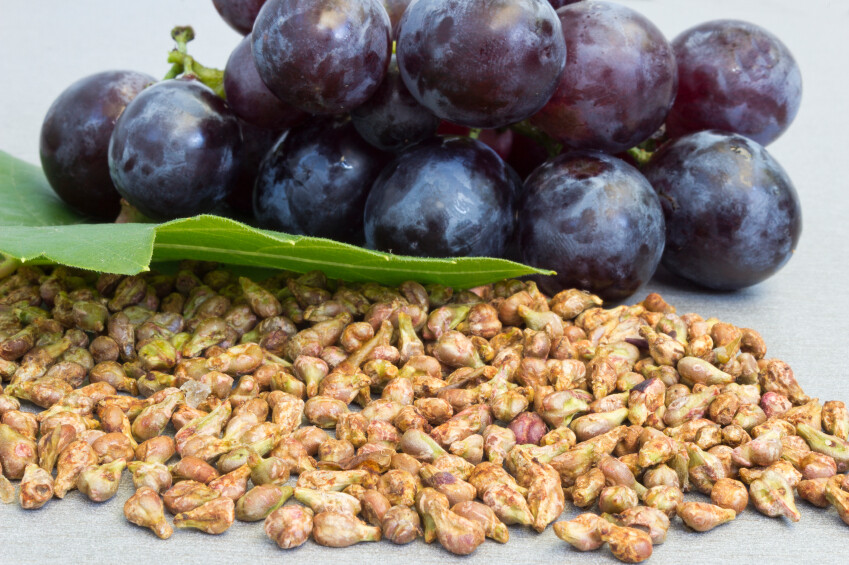 grape skin capsules - GRAPE SEED EXTRACT 100mg - plant polyphenols 3B