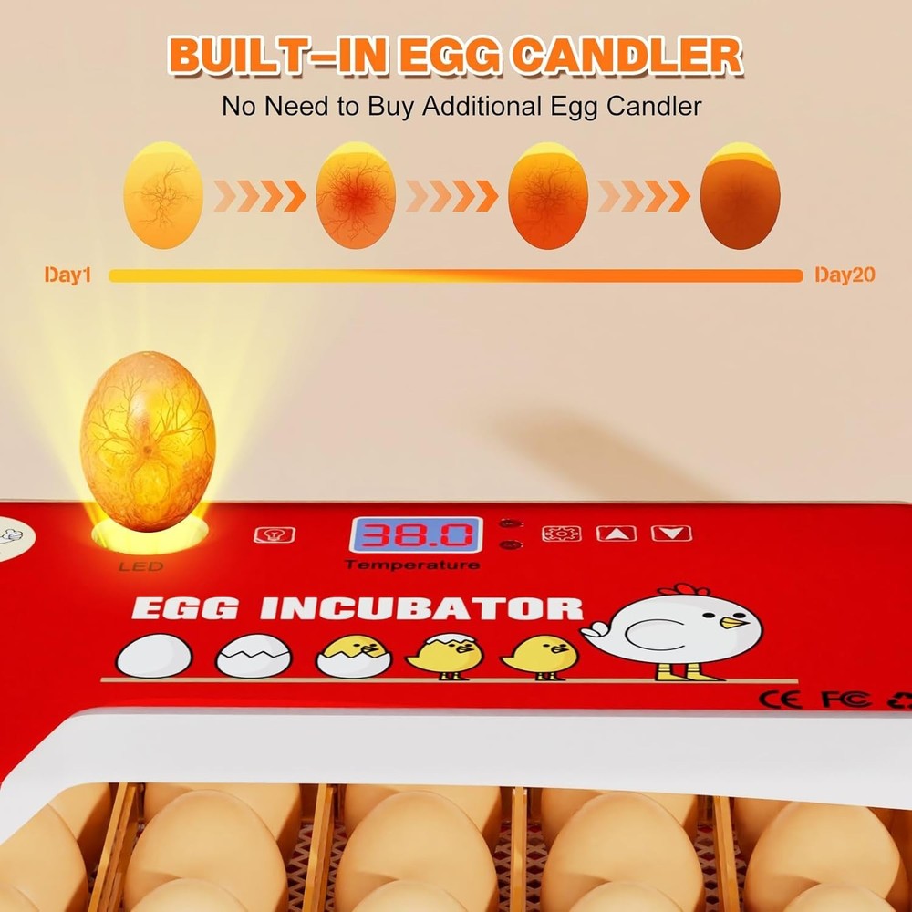 15-35 Eggs Incubator with Automatic Egg Turning and ℉Temperature Display LED Can