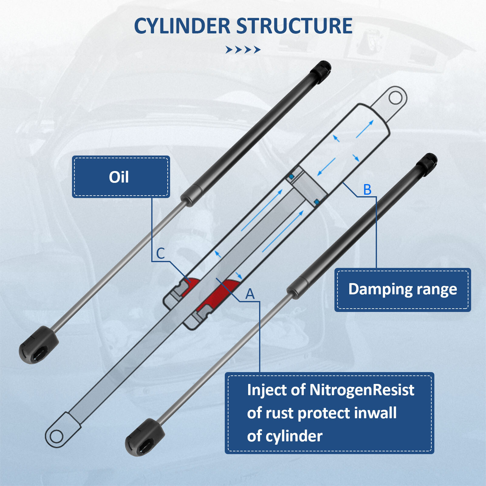 For 2008-2012 Ford Escape Qty 2 Rear Window Glass Lift Supports Shocks Struts
