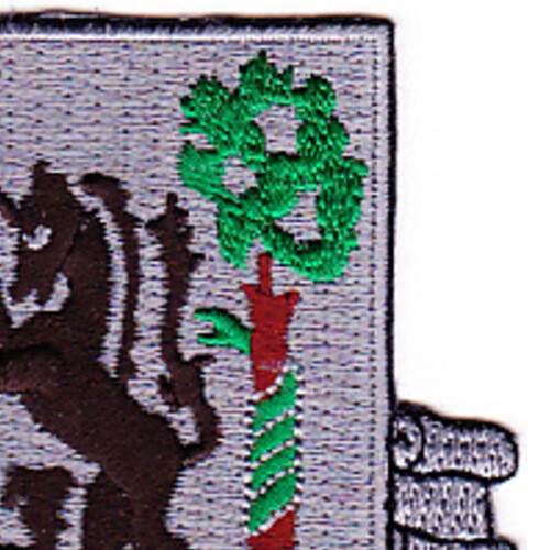 61st Medical Battalion Patch