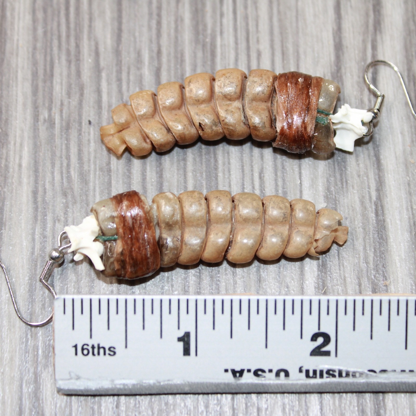 Large Rattlesnake Rattle Earrings #4963 Mountain Man Earrings