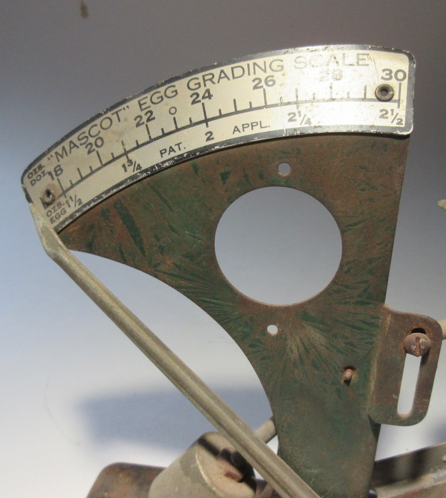 Vintage egg scale Mascot
