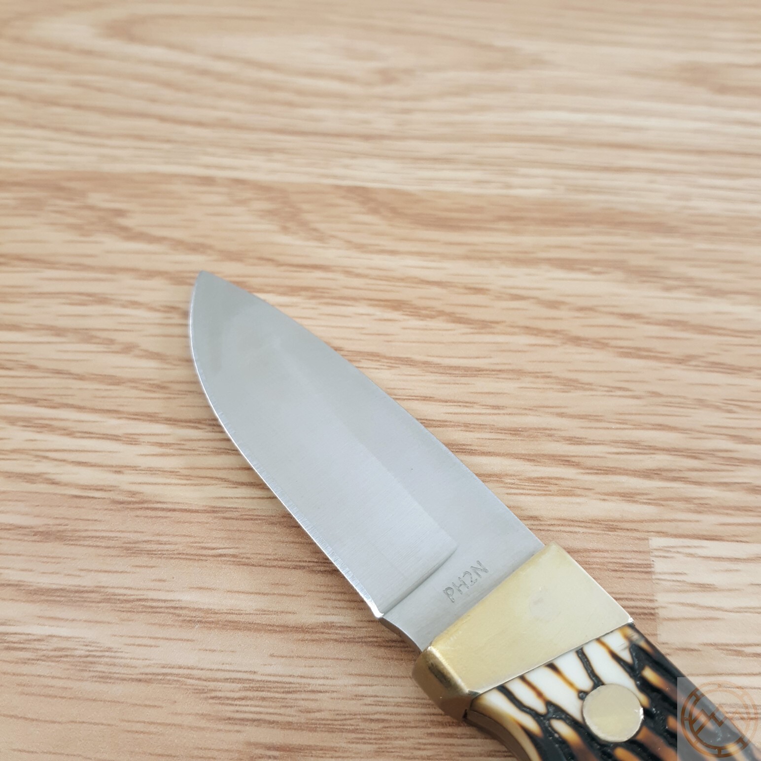 Schrade Hunter Fixed Knife 2.75" 7Cr17MoV Steel Full Tang Blade Staglon Handle