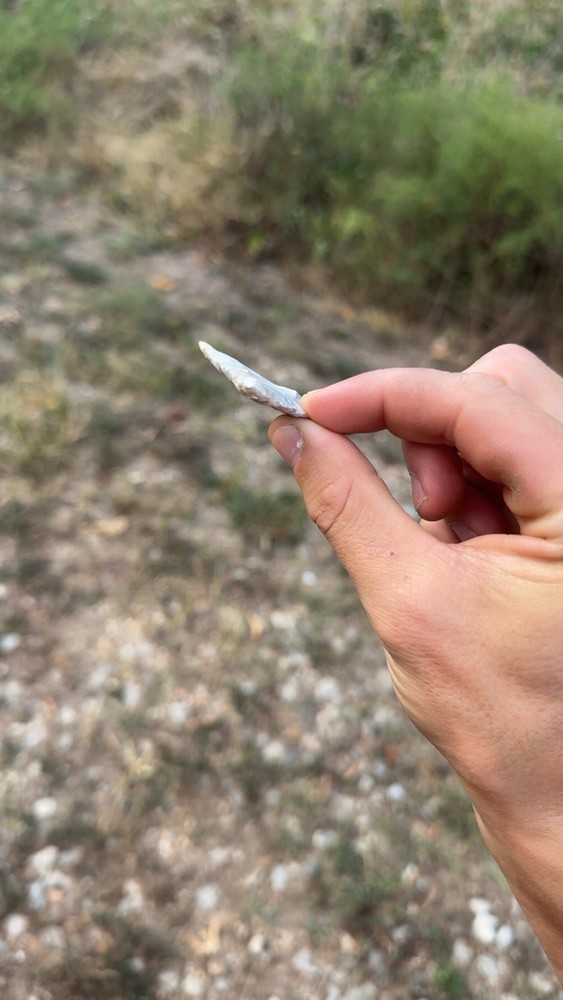 Ozark Chert Arrowhead