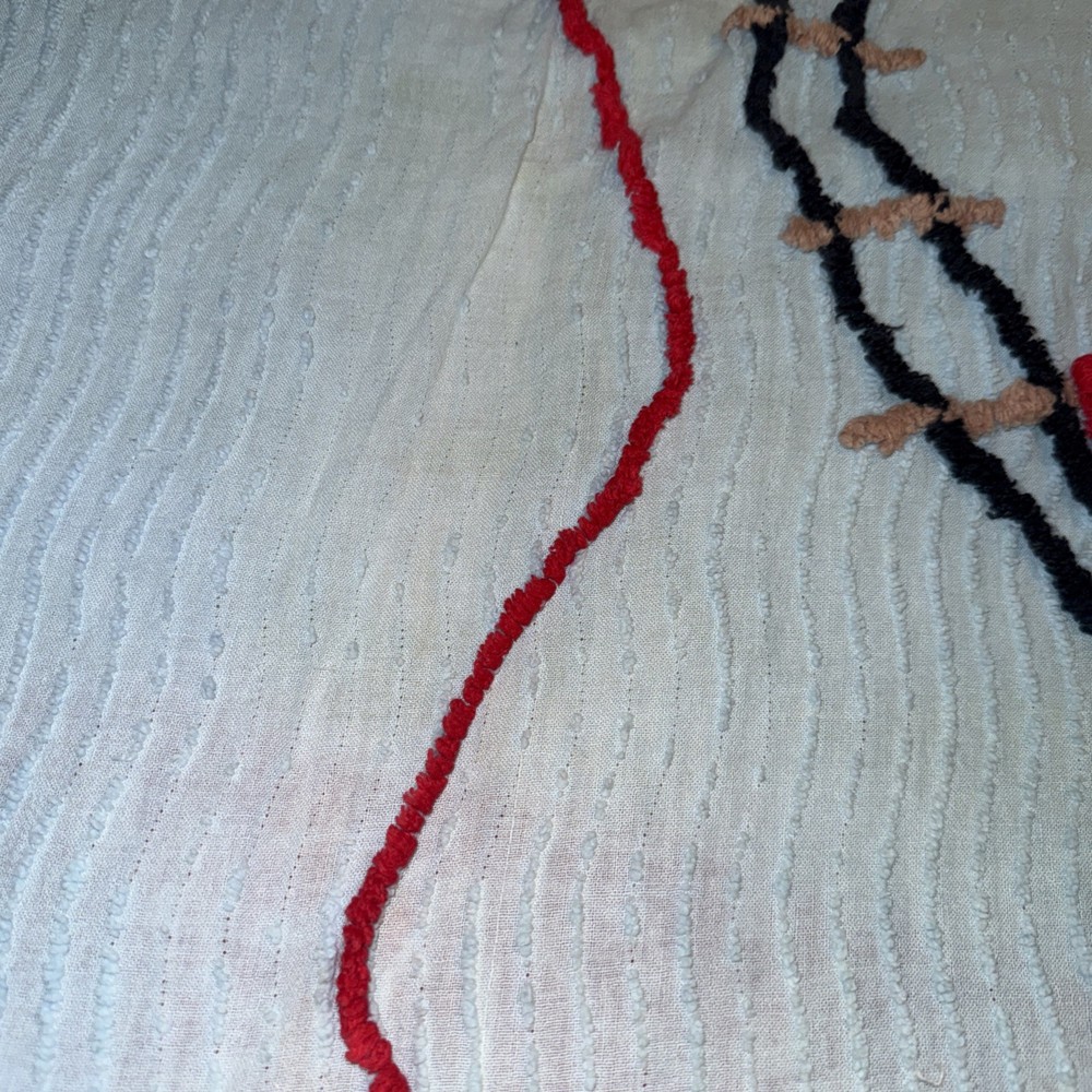 RARE chenille Train Bedspread 72x98