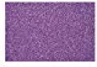 Glitter Blast Glitter Spray Paint for Craft Projects, Grape Glitz, 5.75 oz