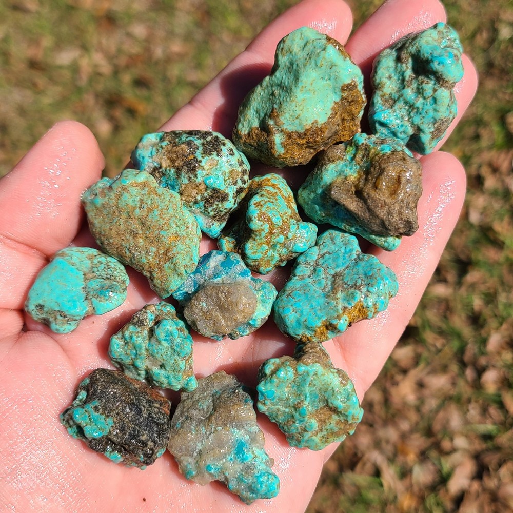 STABILIZED CAMPITOS TURQUOISE ROUGH MEXICO 131.5 GRAMS
