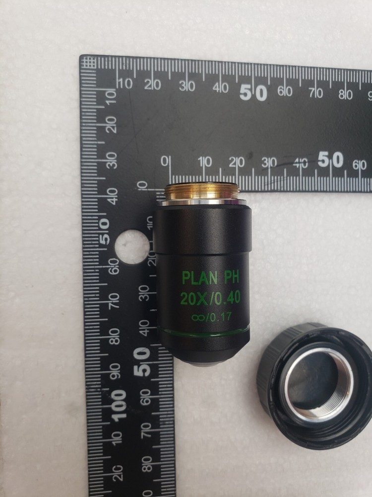 Plan Phase Objectives PLAN PH 10X/0.25 infinity/0.17 & PLAN PH 20X/0.40