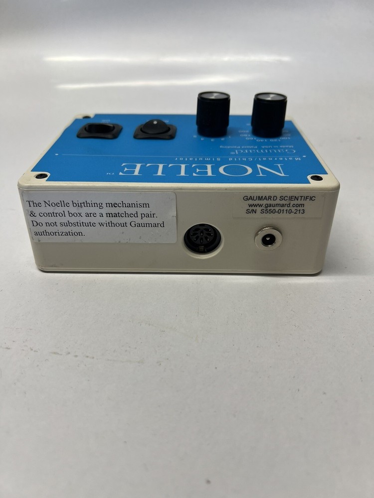 Noelle Guamard Child Simulator