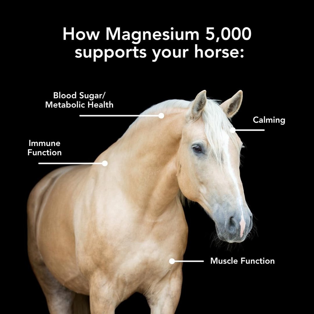 Magnesium 5000 for Horses - Calm, Boost Metabolism, Support Muscle Function