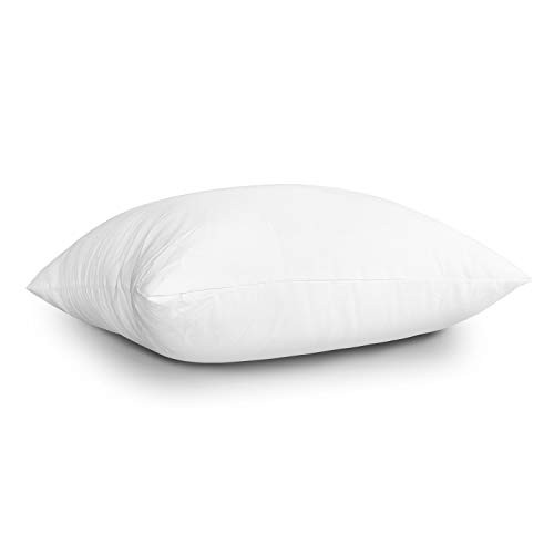 Throw Pillow Inserts, Set of 2 Lightweight Down Alternative Polyester Pillow,