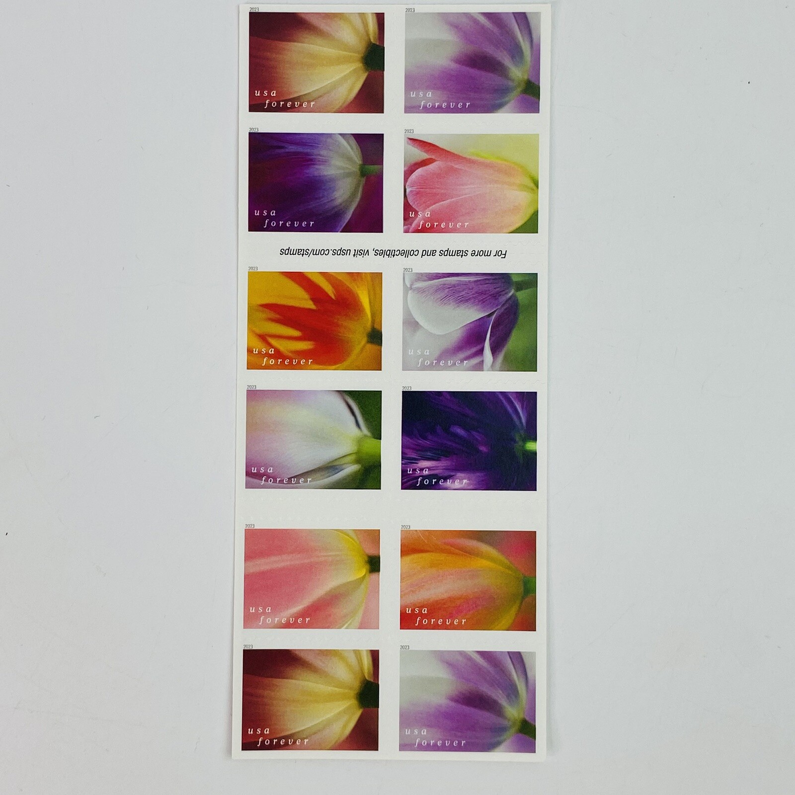 x20 Tulip Blossoms USPS First Class Forever Stamps Double Sided Booklet Of 20