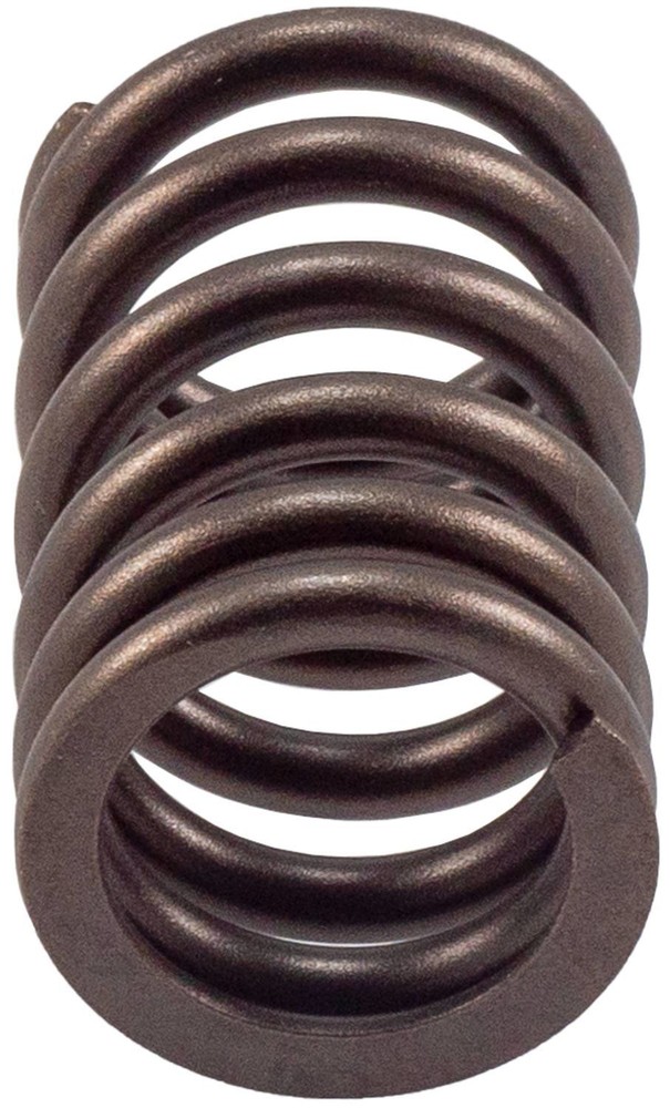 Valve Spring Melling VS460