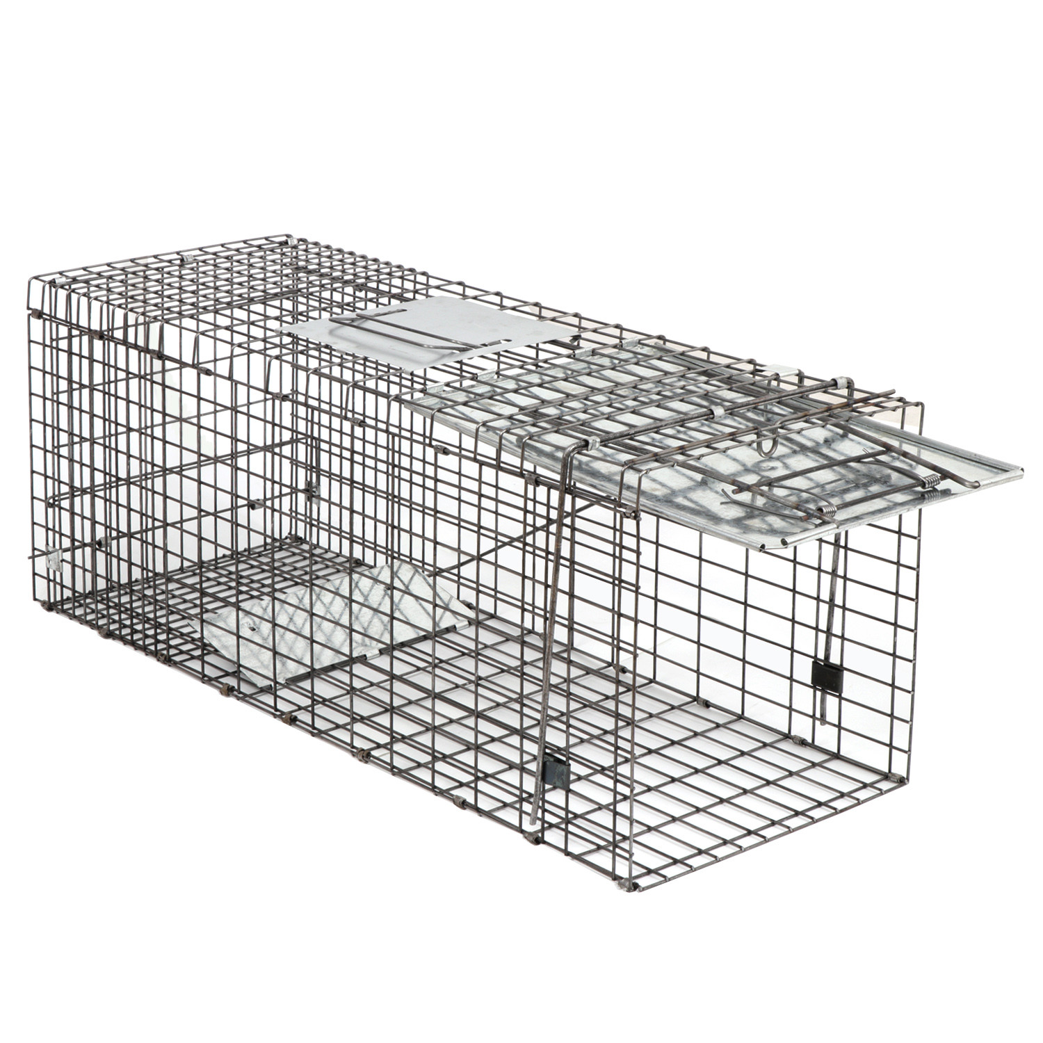 Live Animal Cage Trap 32" X 12.5" X 12" Humane Rodent Raccoon Cage w/Iron Door