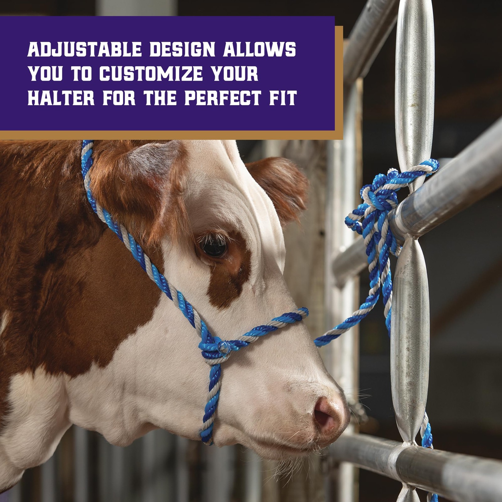 Braided Poly Rope Cattle Halter, Adjustable Cow Calf Halter, Livestock Handli