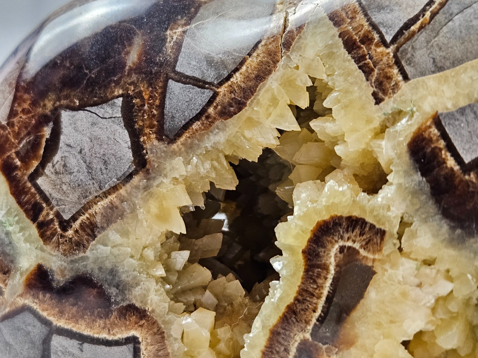 Septarian Nodule Geode Buffalo Bison Carved Natural Stone Crystal Zuni Decor 6"