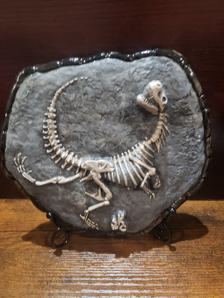 T-Rex Dinosaur fossil display
