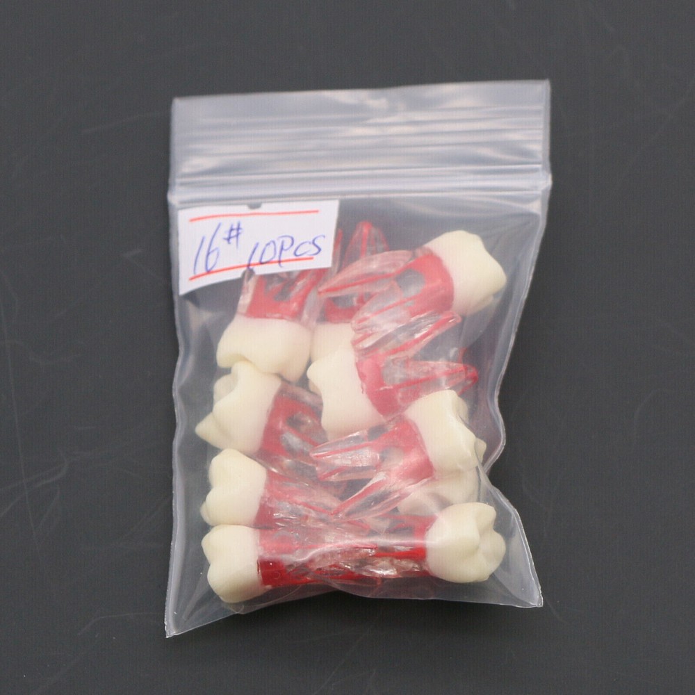 10 Pcs Dental Autoclavable Endo Root Canal Teeth Model Study Practice Typodont