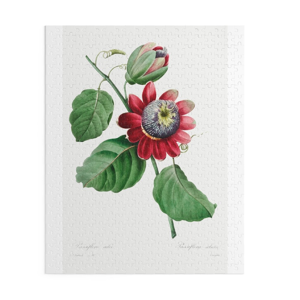 Passiflore Ailee  Pierre-Joseph Redouté Puzzle