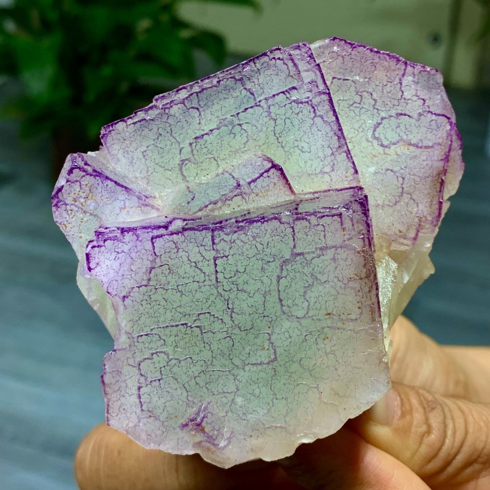 3 Code"Fluorite Cluster Crystal Mineral Specimen/Guizhou