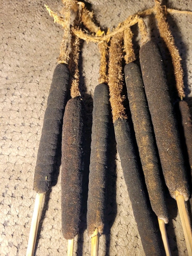 Flowered Cattail Stubs