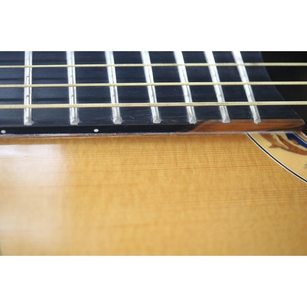 Takamine Ltd 2001 Dolphin No.YG855