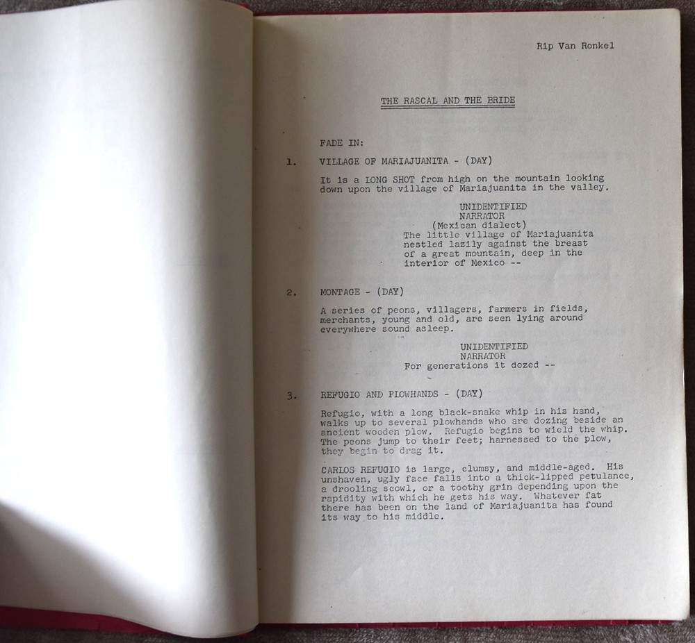 The Rascal and The Bride Original First Draft Screenplay Script