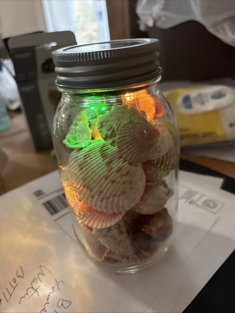 Shells In Lighted Jar