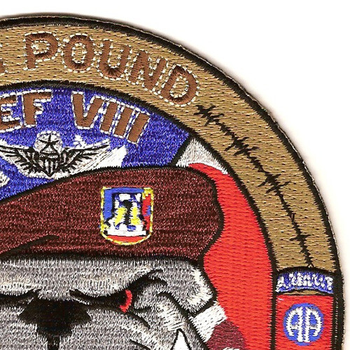 2nd Squadron 82nd Aviation Regiment D Company Patch