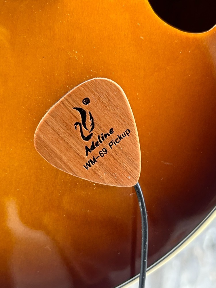 Savannah so-sa090-tsn Mandolin 8 string with Pickup (read)