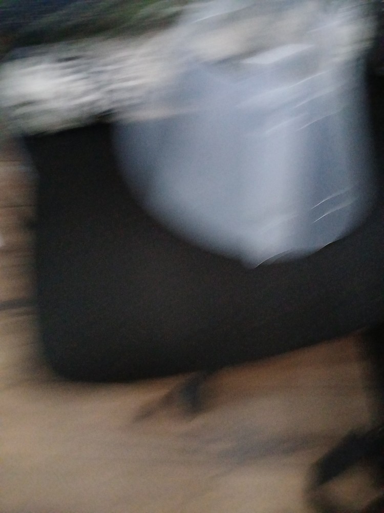 Pivatel Baxter Clear Dog Cone Size 20