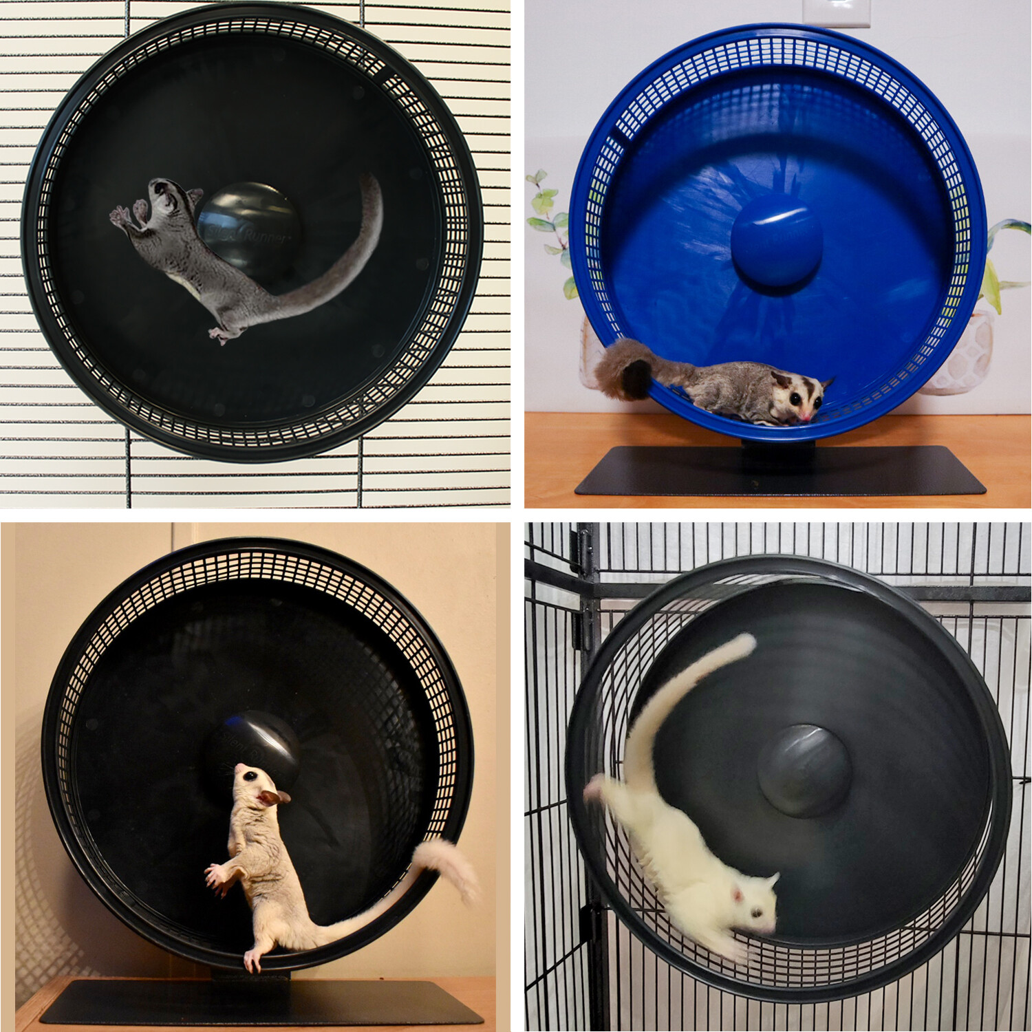 Silent Runner Pro Black - Durable Pet Exercise Wheel with Cage Attachment