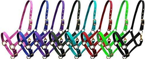Adjustable Cob Size Triple Ply Nylon Halter