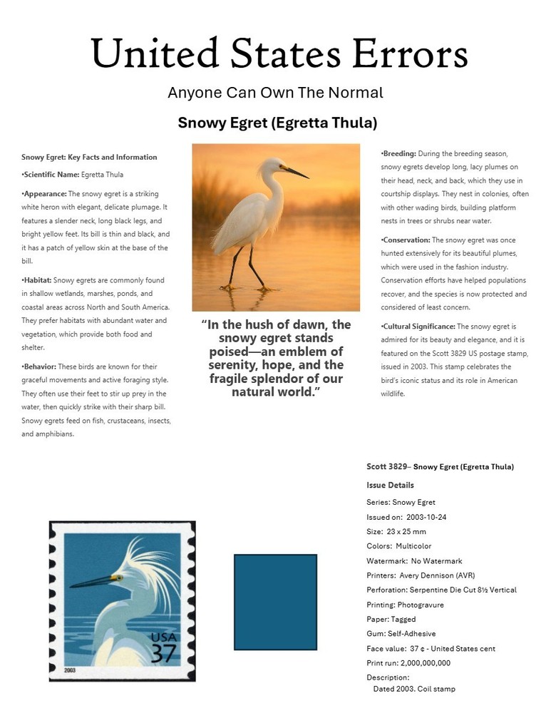 Centsational Custom Presentation Panel For Error SN 3829 - 8.5” X 11”