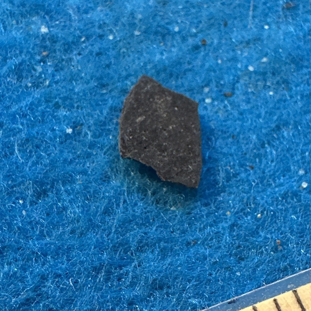 Dinosaur Eggshell Fossil from Late Jurassic with Display Case
