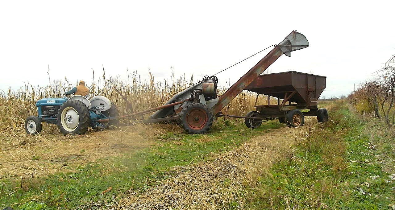 Cracked Corn Premium Chicken Scratch Duck Turkey Bird Feed 15 lb Low Ship Cost