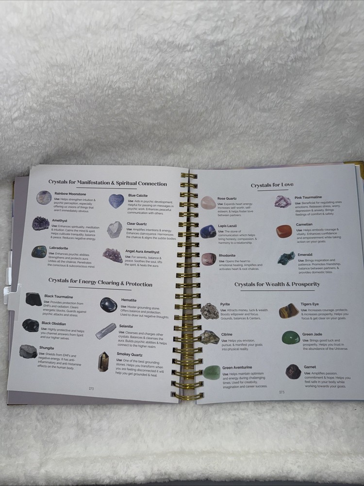 The Maniscripting Journal Life Design Ritual Guidebook (E0008)