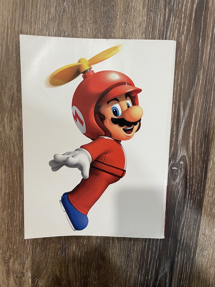Super Mario Wii Prims Official Game Guide.