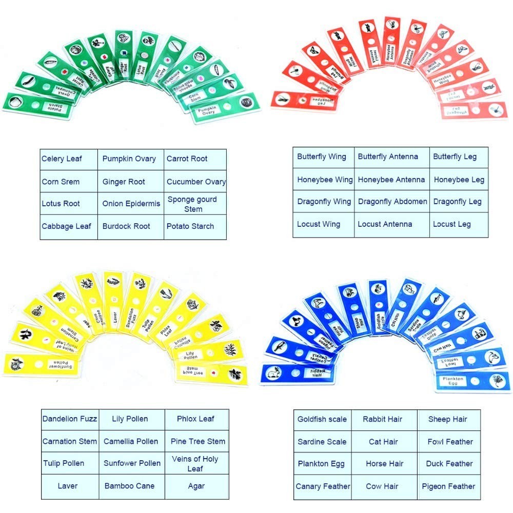 Comprehensive Microscope Slides for Children: 48pcs Animals, Plants & Insects