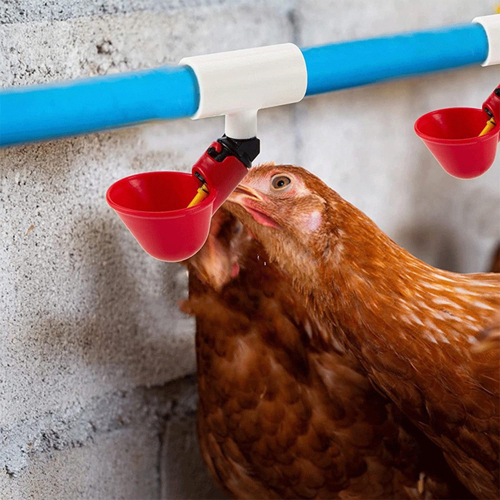 20PCS Poultry Water Drinking Cups Chicken Bird Automatic Drinker Feeder Nipple