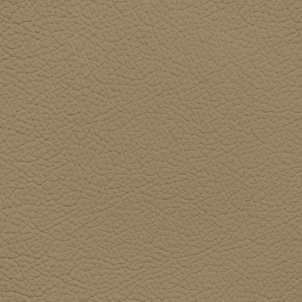 Nissan Pancake Leather Dye
