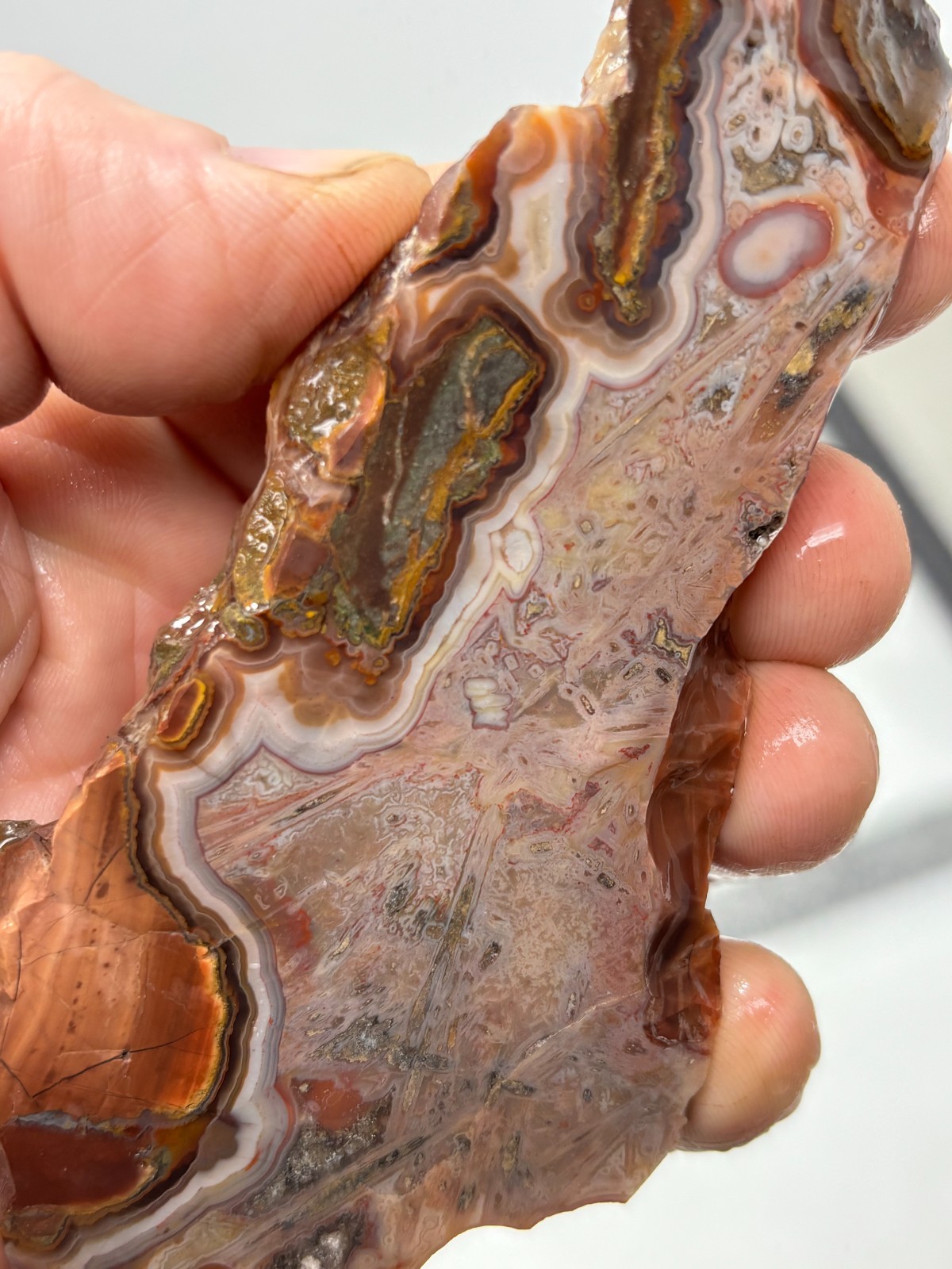 Turkish Stick Agate slab Cabbing Lapidary Collecting Combo Ship avail