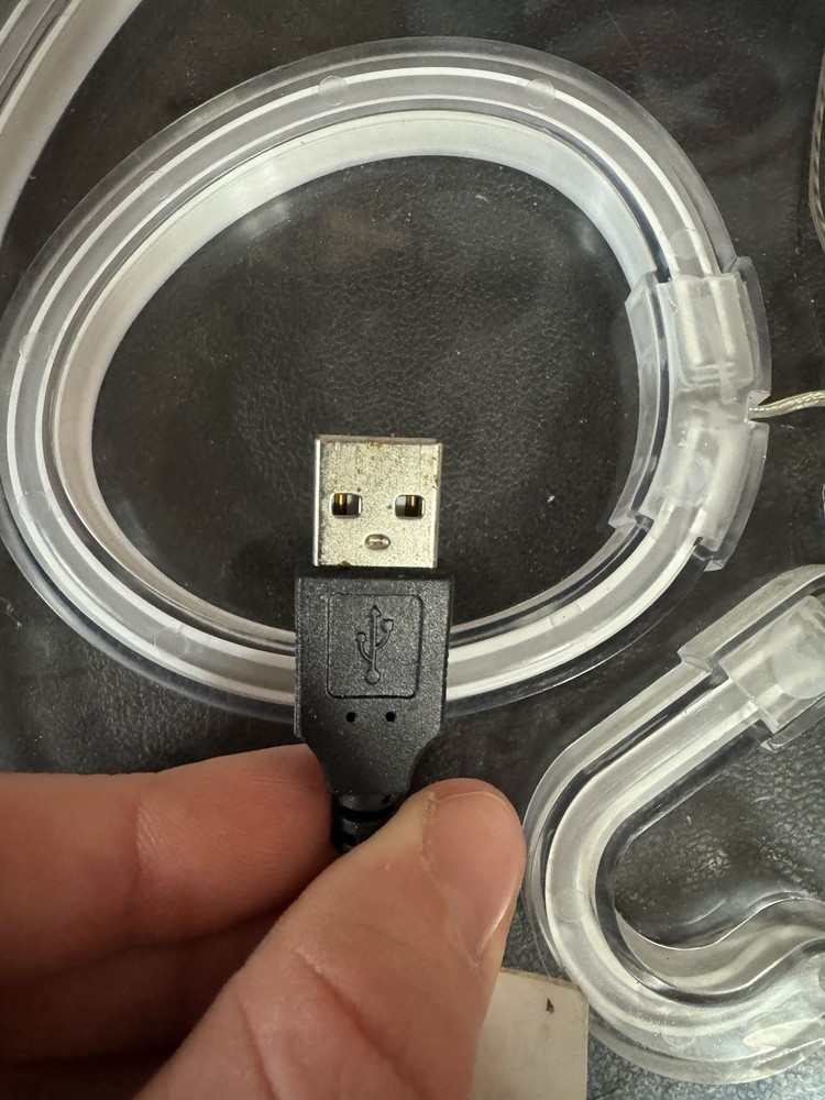 Skull Light LED Wall Hanging