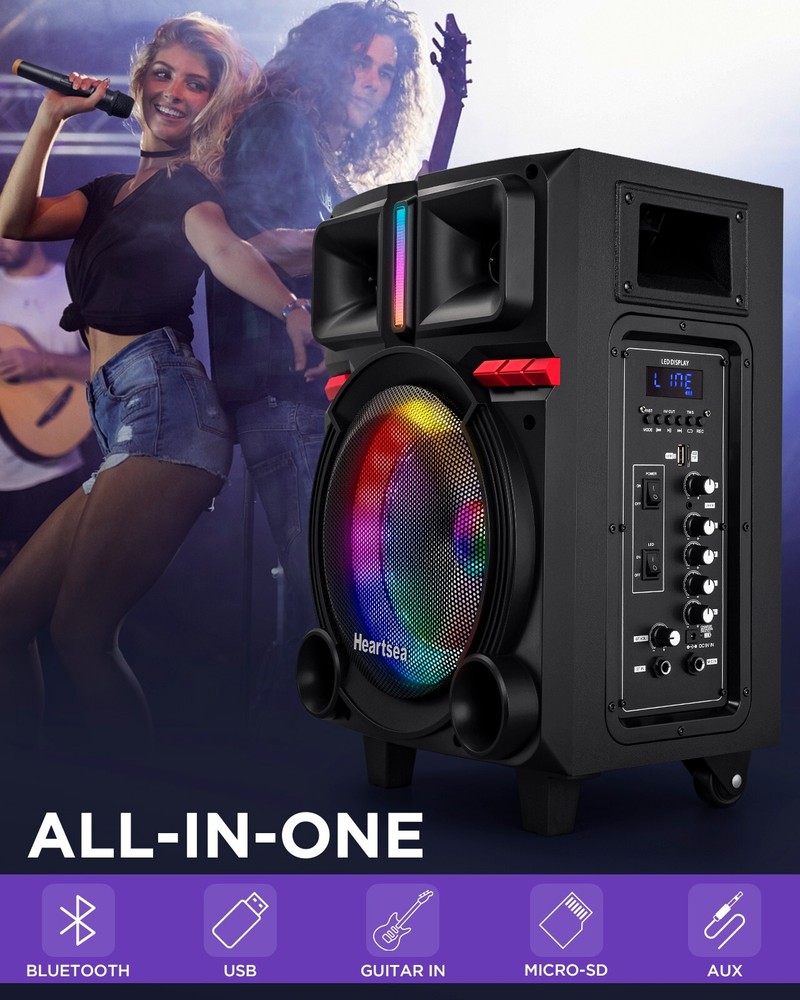 Karaoke Machine with 2 Wireless Microphones & Bluetooth Speaker