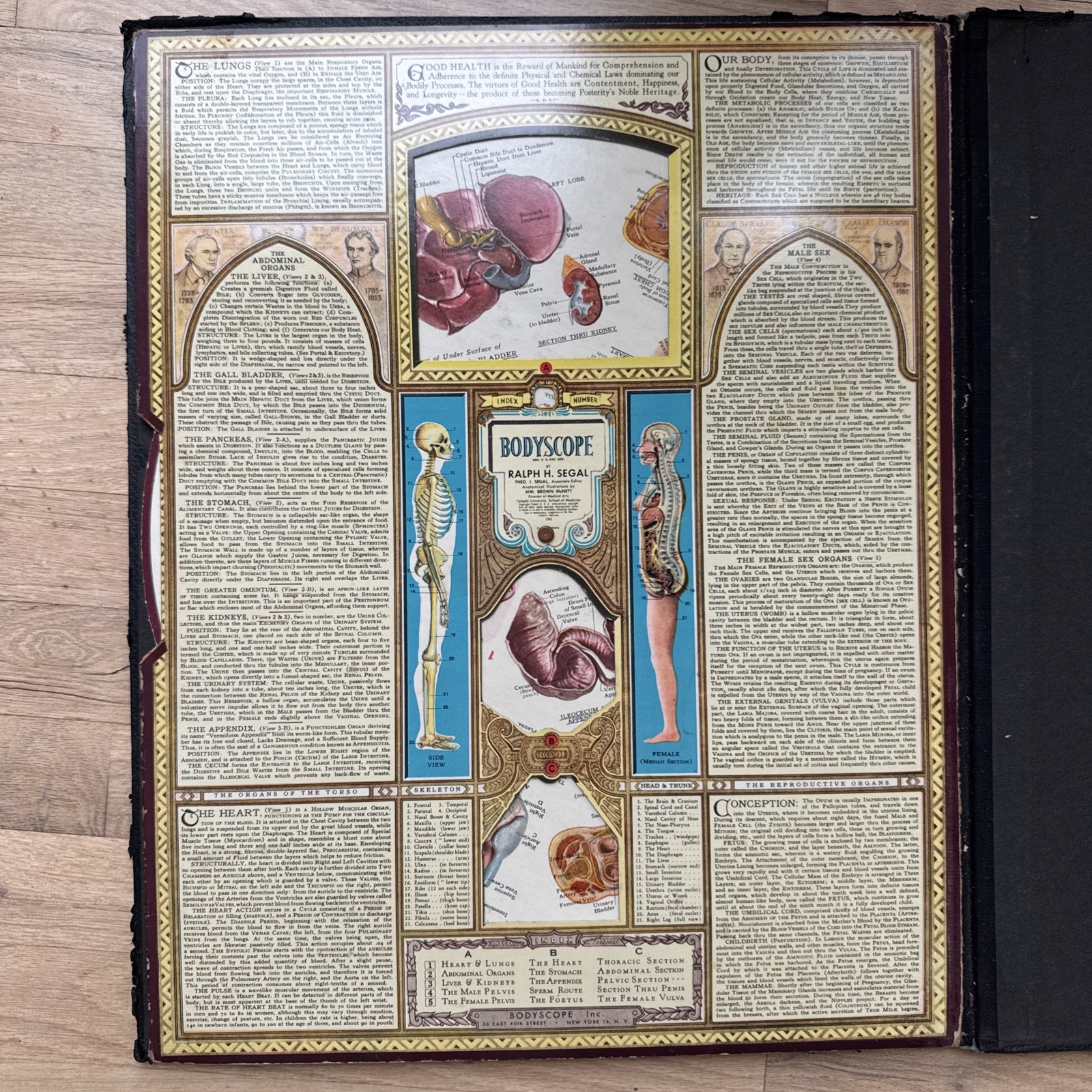 Bodyscope by Ralph H. Segal Human Anatomy Medical Chart and Case 1948 Flaws