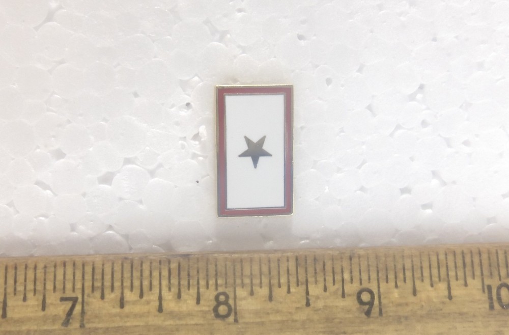 Gold Star Pin